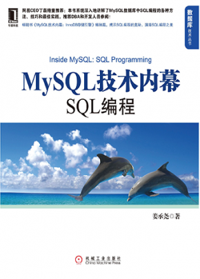 MySQL技术内幕：SQL编程-迷你书