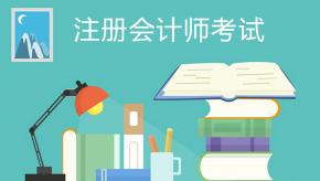 2017年中华注册会计师《会计》视频教程百度网盘免费下载