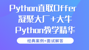 经典案例+面试解答 Python直取Offer 凝聚大厂+大牛Python教学精华深入浅出学Python 