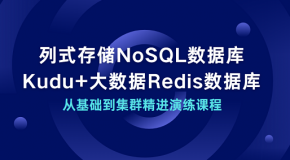 列式存储NoSQL数据库Kudu+大数据Redis教程百度网盘 数据库从基础到集群精进演练课程 