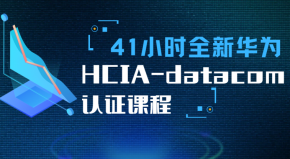  41小时全新华为HCIA-datacom认证课程 数据通信的深度探索 华为数据通信深度探索