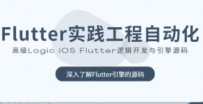Flutter实践工程自动化 高级Logic iOS Flutter逻辑开发与引擎源码